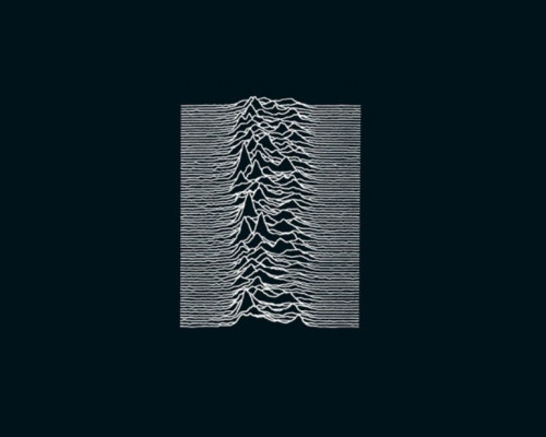 Joy Division T-Shirts NZ – Band Tees & Merch at Tee Rex