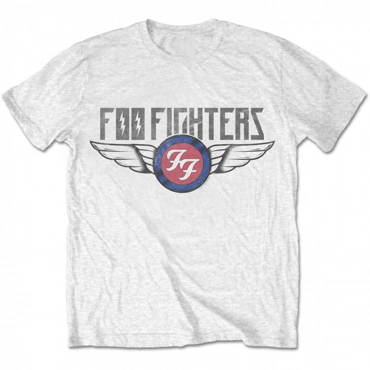 The Foo Fighters-Flash Wings